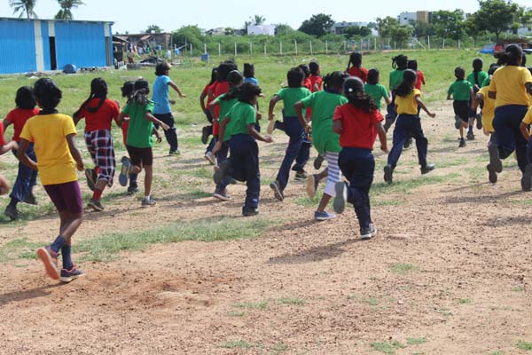 cross-country5
