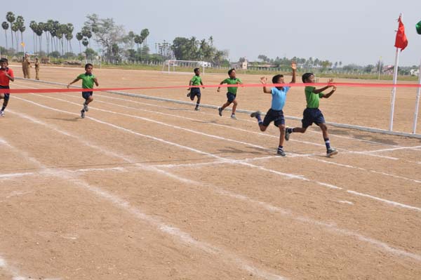 sports19