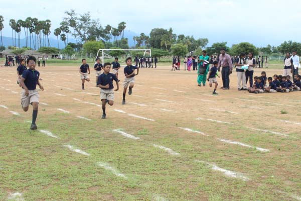 sports3